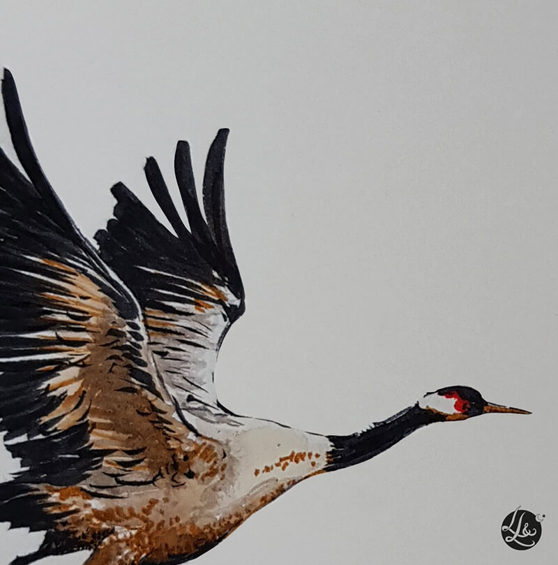 grue-oiseaux-serie-n3-lletc