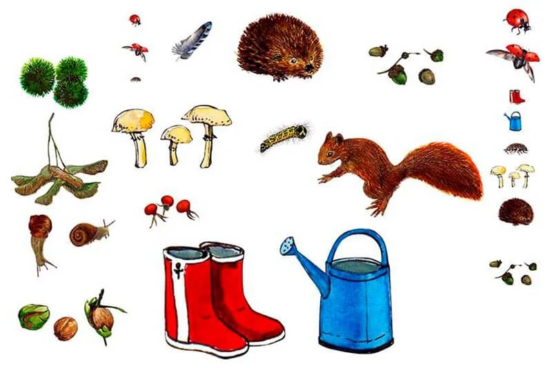 animaux-objets-nature-dessins-lletc Illustratrice famille boite nature