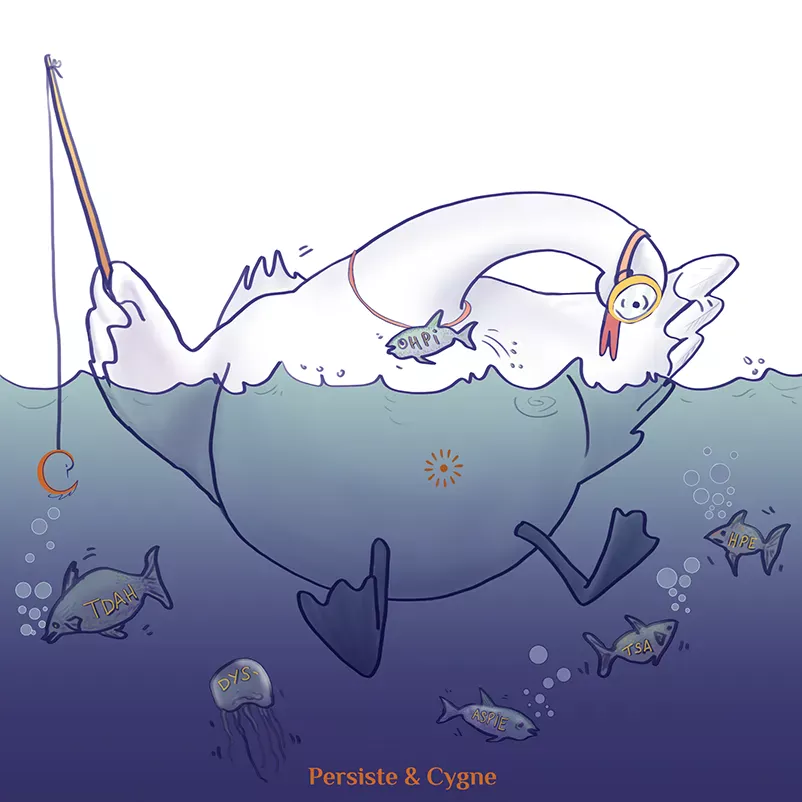 Un cygne pêche à la recherche de qui il est - hpi et intelligences neuro atypiques - illustratrice d'oiseaux - LLetC pour Persiste et Cygne