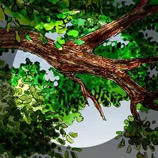 PAINT Boite nature LLetC Lien vers page Boite nature LLetC