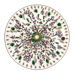 silence-hiver-oracle-lletc-vignette mandala thème hiver nature