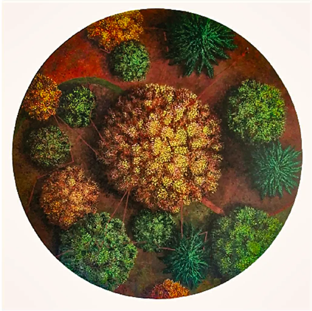 peinture forêt vue du ciel avec différents arbres reliés par un fil rouge